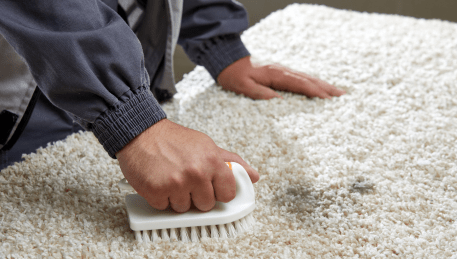 Professional Rug Cleaning Mount Rowan
